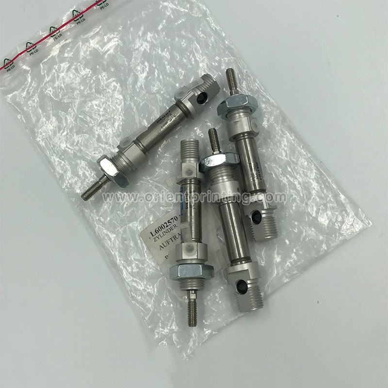 FESTO DSN-12-10-P Cylinder L6002570 For KBA Machine , KBA Offset Spare Parts